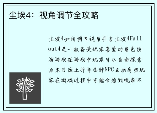 尘埃4：视角调节全攻略